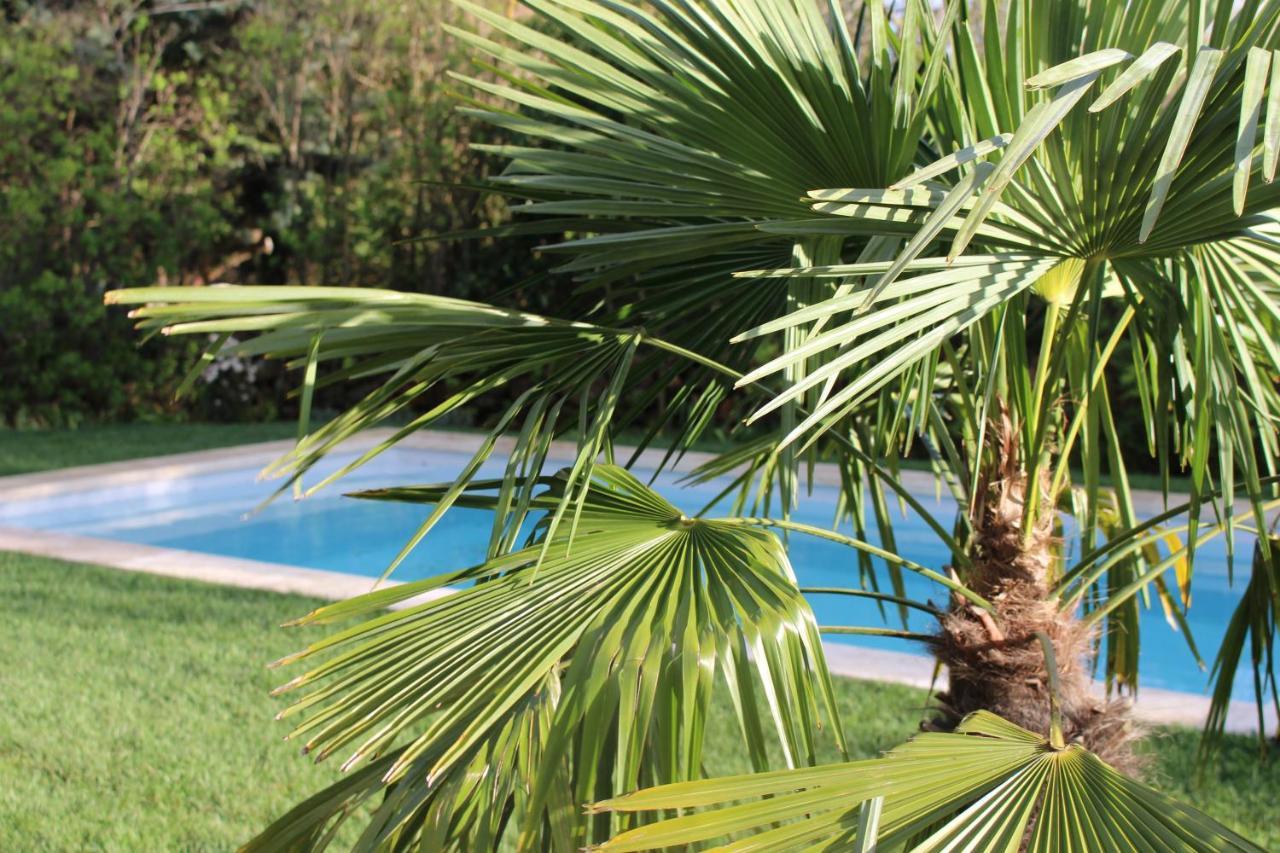 Mas Les Romarins, 10 Min D'Uzes, Piscine Et Grand Jardin Clos, Jeux, Nid De Repos Et Base Pour Activites Dans Le Gard (Adults Only) Exterior foto